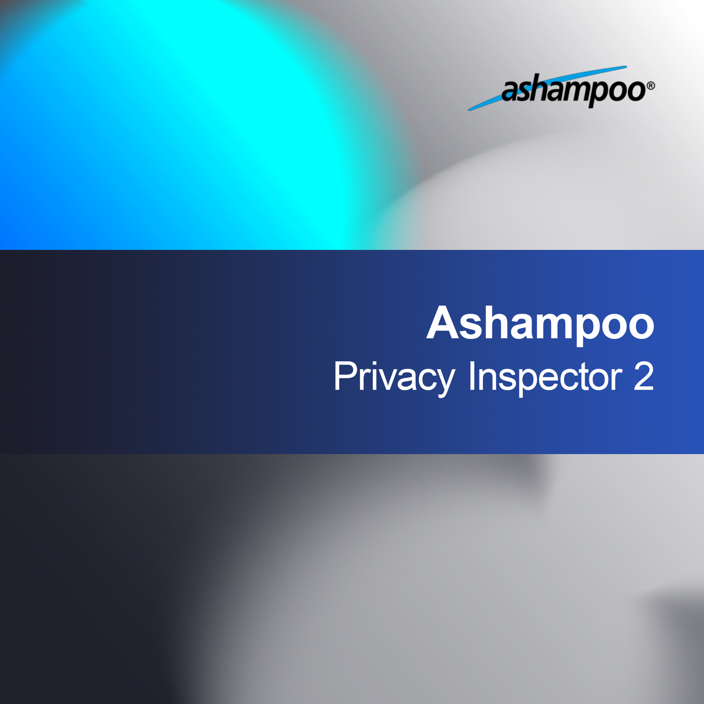 Ashampoo Privacy Inspector 2